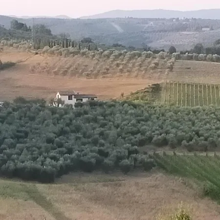 Degli Olivi Nature * Sienne