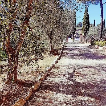 Degli Olivi Nature * Sienne